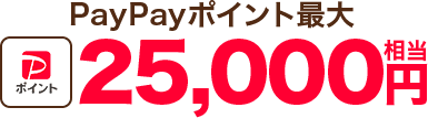 PayPayポイント最大25,000円相当